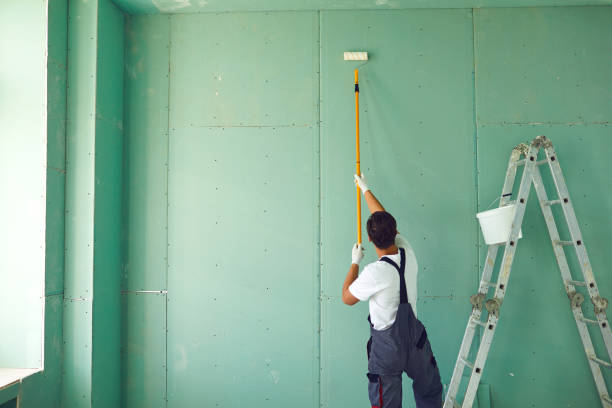 Best Asbestos and Lead Testing During Mold Inspection  in Manhattan, IL