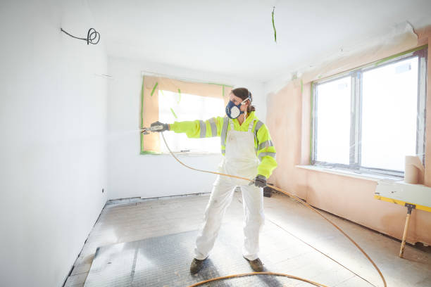 Best Post-Construction Mold Inspection  in Manhattan, IL