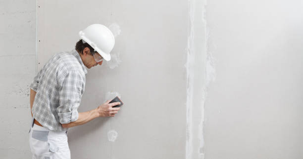 Best Mold Odor Removal Services  in Manhattan, IL