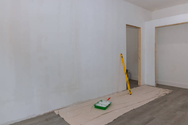Mold Odor Removal Services in Manhattan, IL