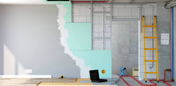 Best Mold Documentation for Insurance Claims  in Manhattan, IL