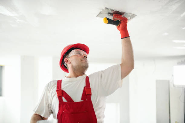 Mold Removal for HVAC Installations in Manhattan, IL