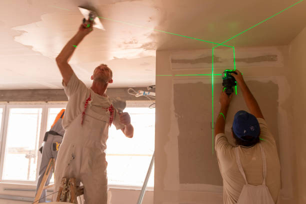 Best Emergency Mold Remediation  in Manhattan, IL