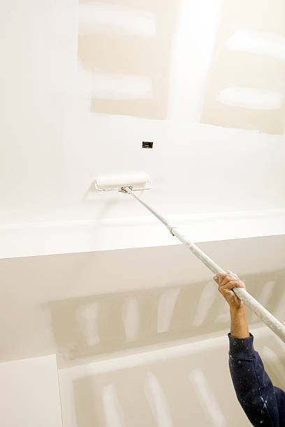 Best Industrial Mold Remediation  in Manhattan, IL