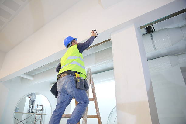 Best Biohazard Mold Removal  in Manhattan, IL