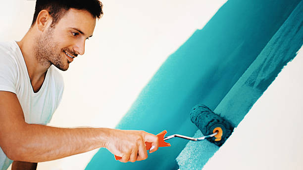 Best Attic Mold Removal  in Manhattan, IL
