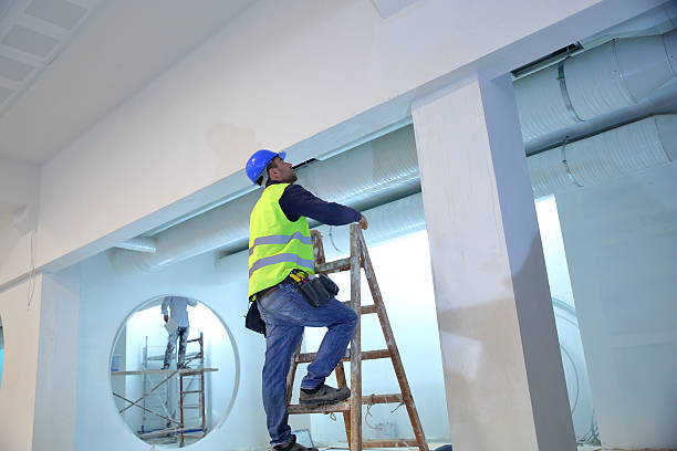 Best Mold Remediation for Vacation Homes  in Manhattan, IL